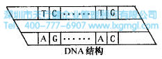 什么是六西格瑪創(chuàng)新設(shè)計(jì)的原動(dòng)力